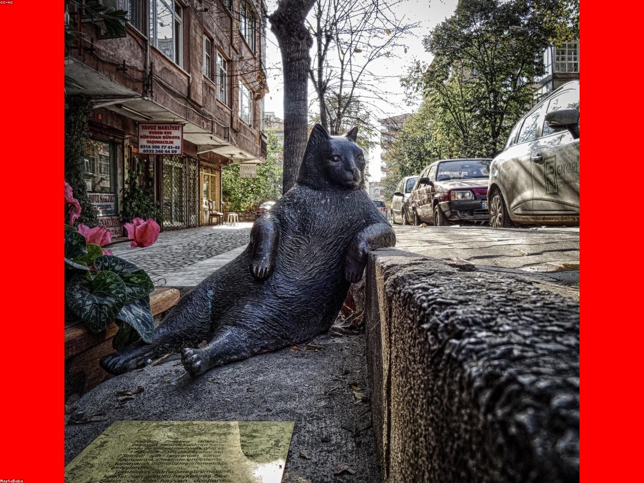 Customs team
