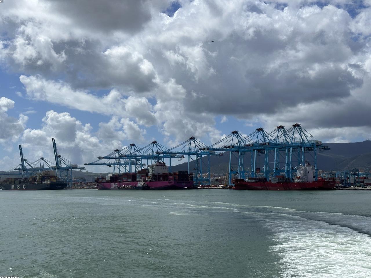 Port with MSC and ONE container ships at cranes